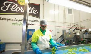 trabajar en florette