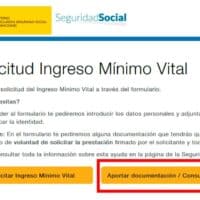 fiscalización del Ingreso Mínimo Vital