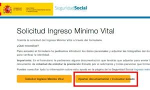 fiscalización del Ingreso Mínimo Vital