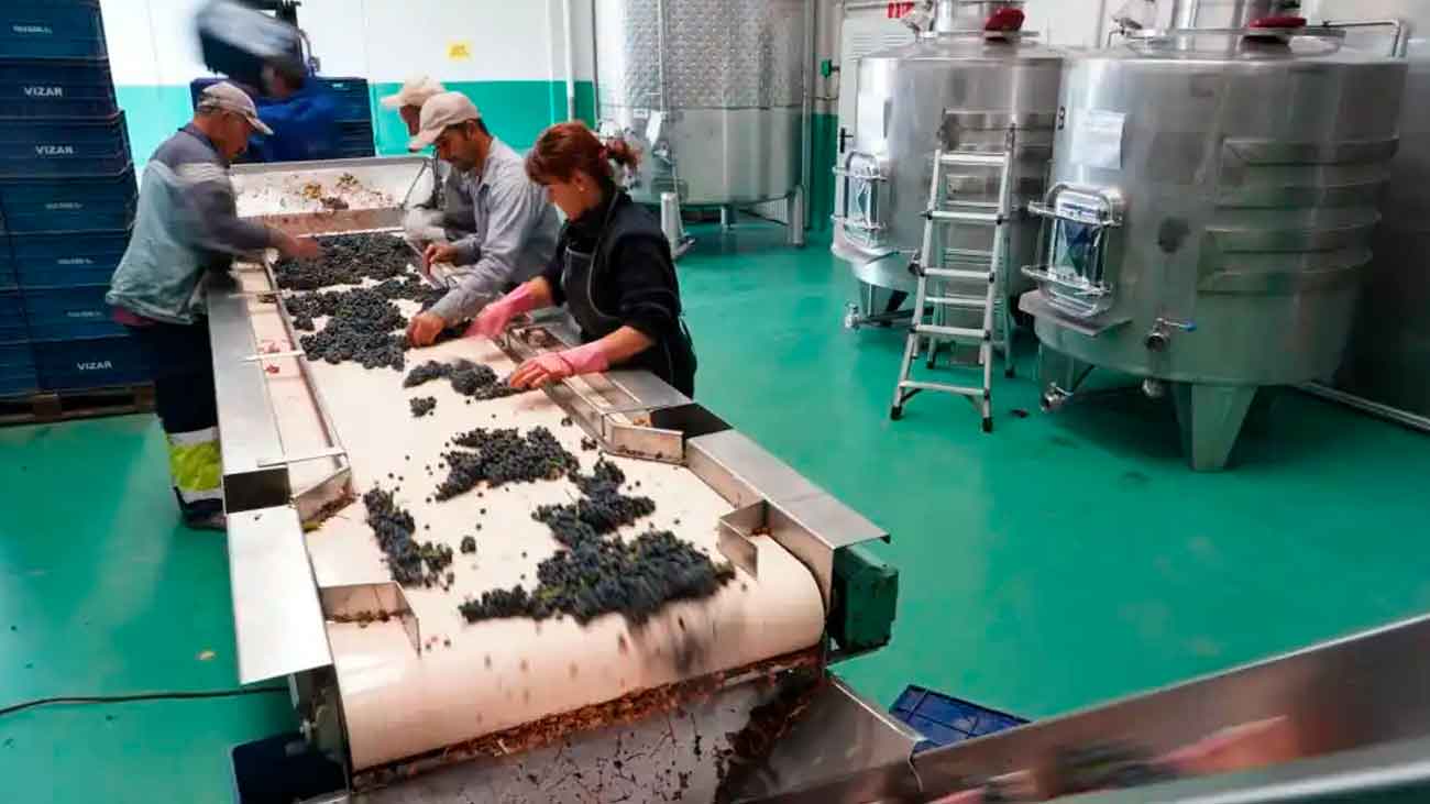 trabajar en fábrica de vino