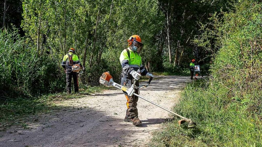 trabajar operario forestal