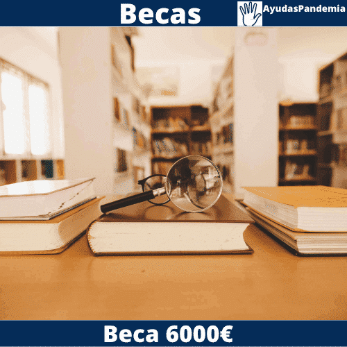 BECA 6000